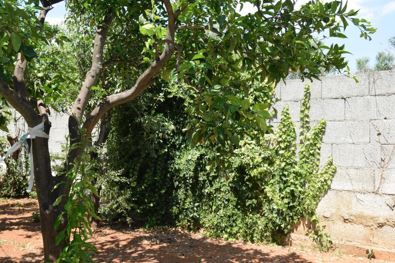 Santa Potenza Felline Bagian luar foto